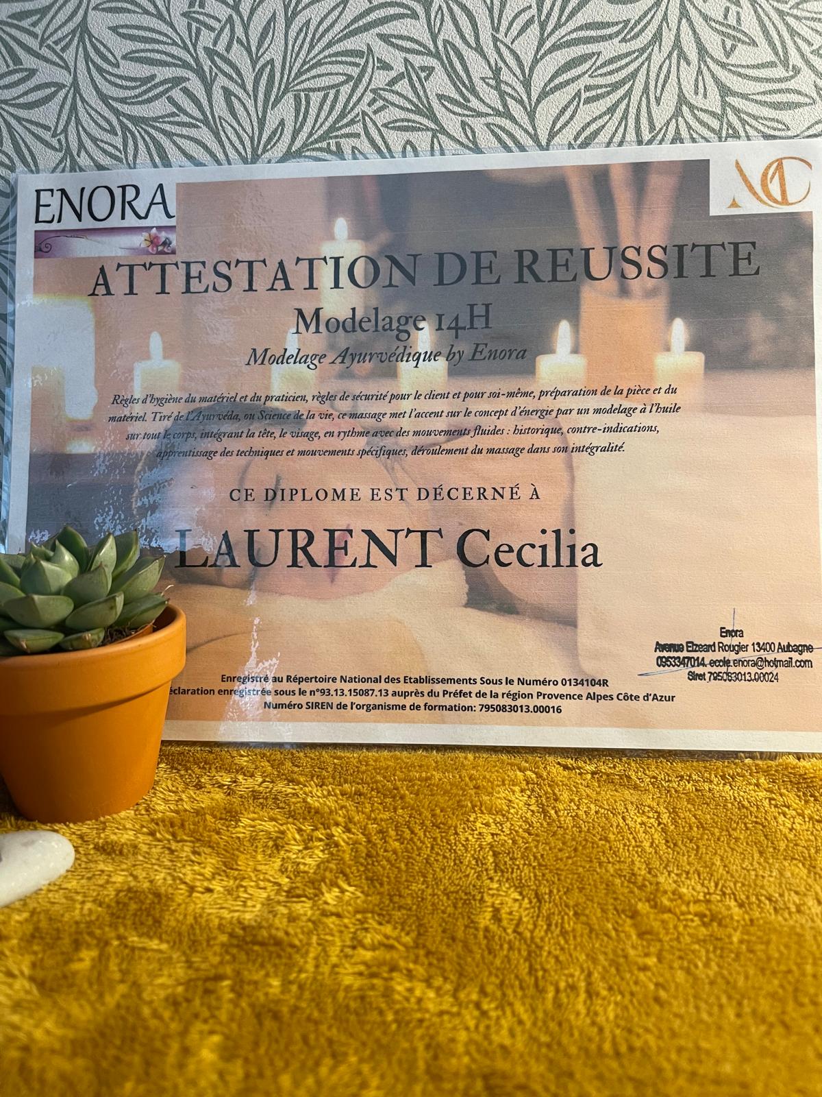 Diplôme Modelage Ayurvédique